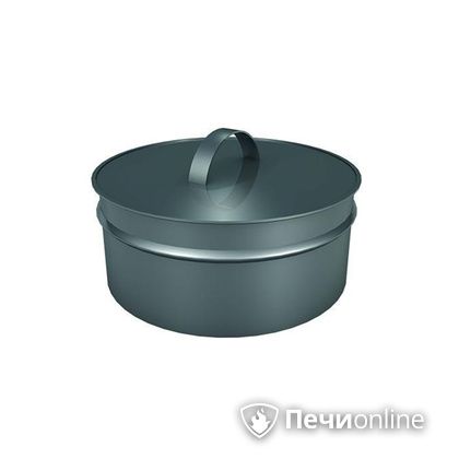 Заглушки Теплов и Сухов Заглушка ревизии Термо-Р 304 0.5 D300(200) в Иванове