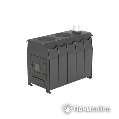 Отопительно-варочная печь Везувий Комфорт 300 (ДТ-3) в Иванове