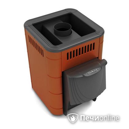 Дровяная банная печь TMF Оса Inox дверь антрацит короткий канал терракота в Иванове